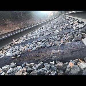 Meet your Posher, Dominick